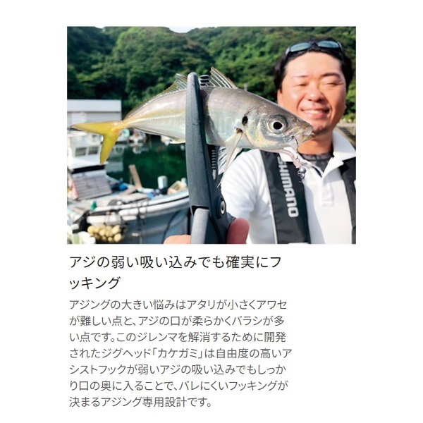 Soare カケガミ デイエディション 0.6g